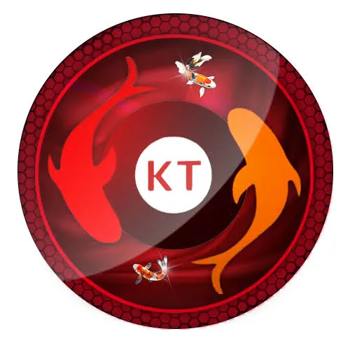 koitoto APK Motor Racing